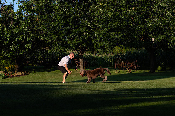 Playing with the Family Dog